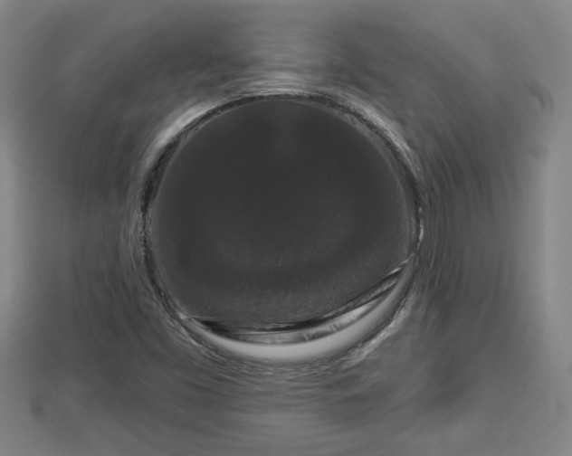 X0000112861453200908281553