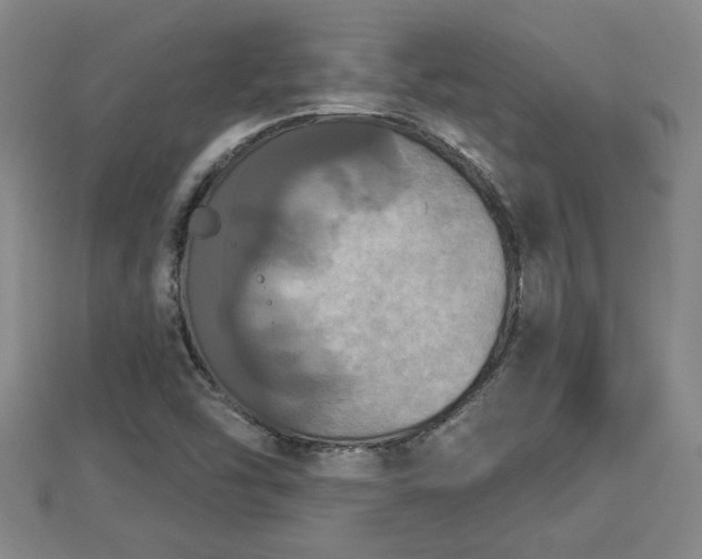 X0000112861454200908281553