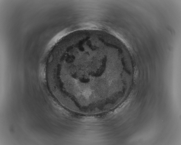 X0000112861455200908281553