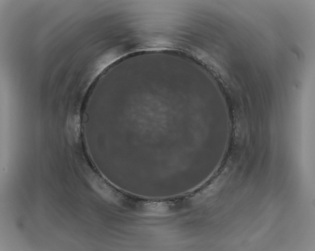 X0000112861457200908281553
