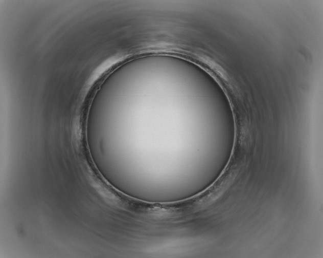 X0000112861458200908281553