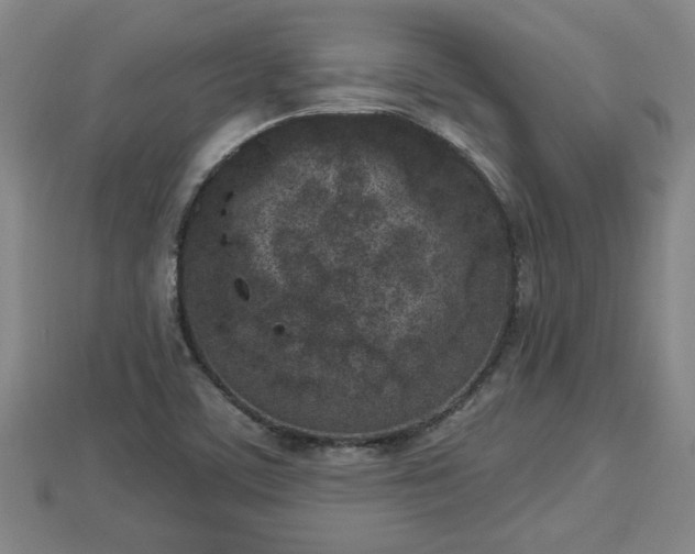 X0000112861459200908281553
