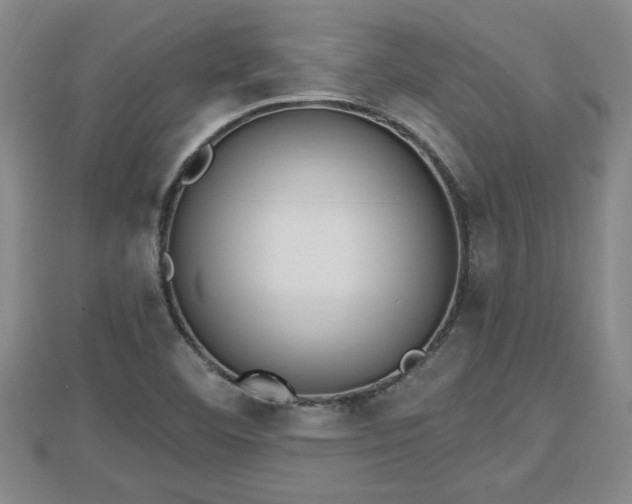 X0000112861460200908281553