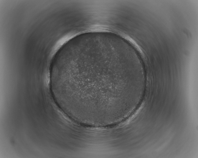 X0000112861461200908281553
