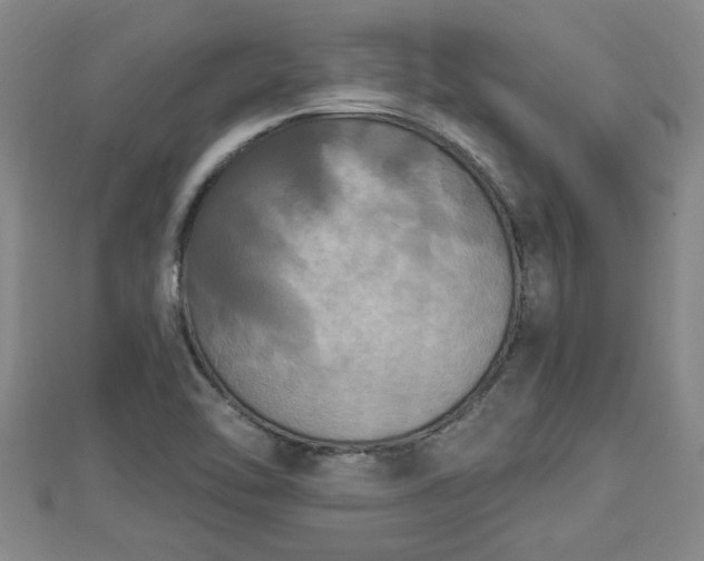 X0000112861462200908281553