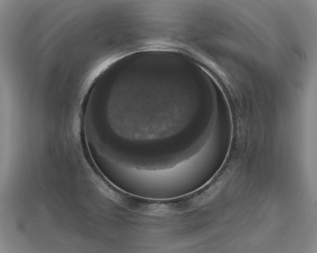 X0000112861463200908281553