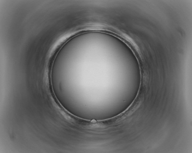 X0000112861464200908281553