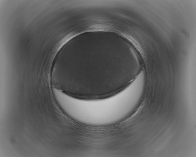 X0000112861465200908281553