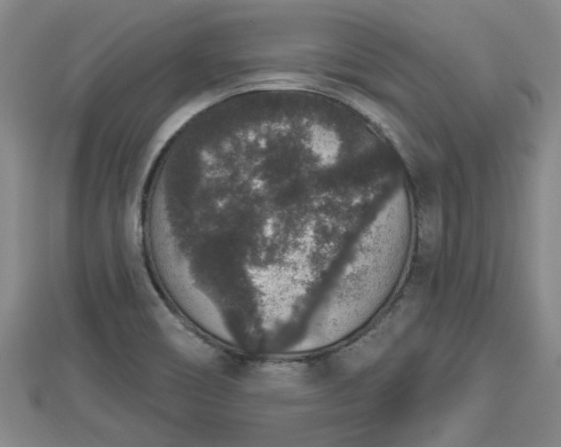 X0000112861466200908281553
