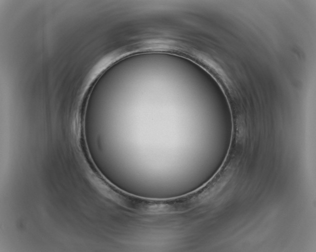 X0000112861467200908281553