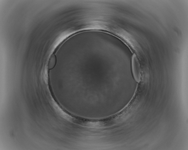 X0000112861468200908281553