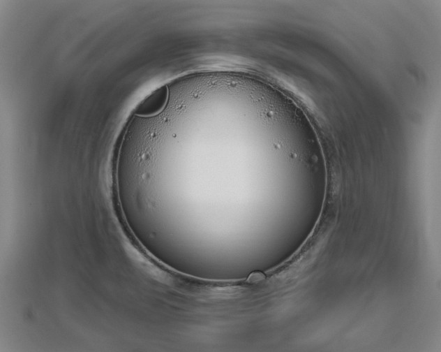 X0000112861471200908281553