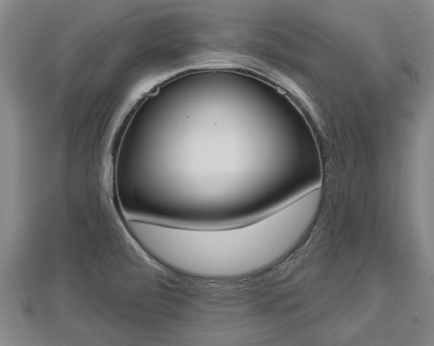 X0000112861472200908281553