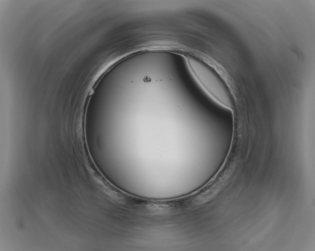 X0000112861473200908281553