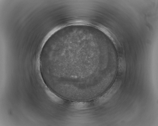 X0000112861474200908281553