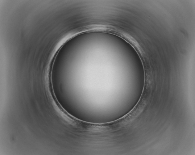 X0000112861475200908281553