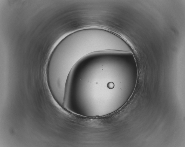 X0000112861476200908281553