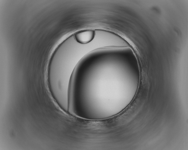 X0000112861477200908281553