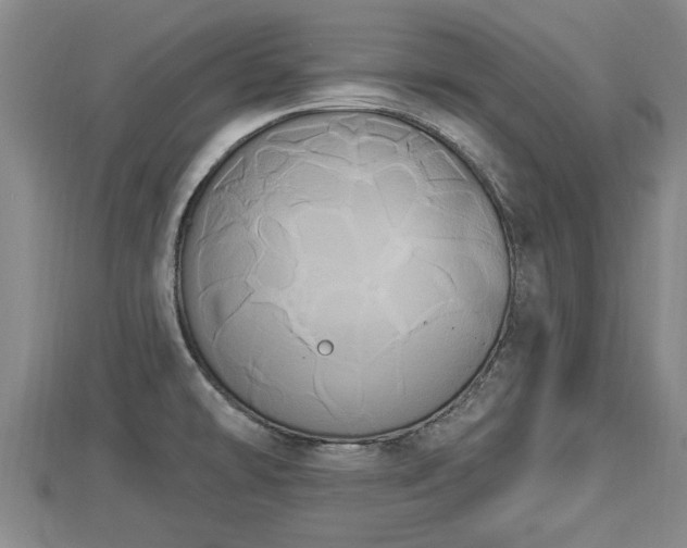 X0000112861478200908281553