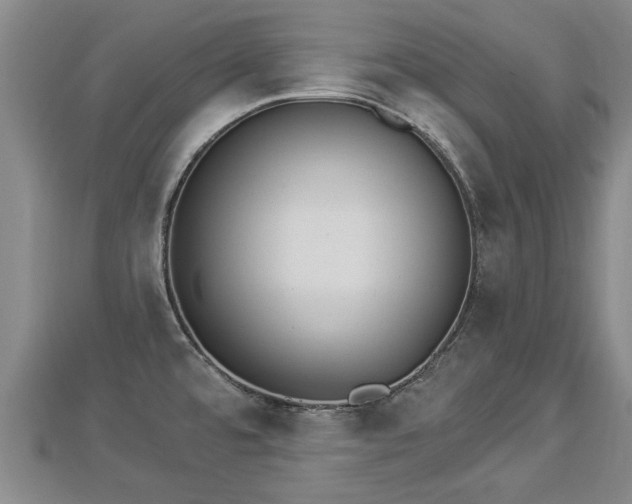 X0000112861480200908281553