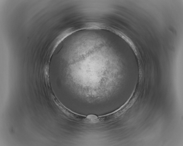 X0000112861481200908281553