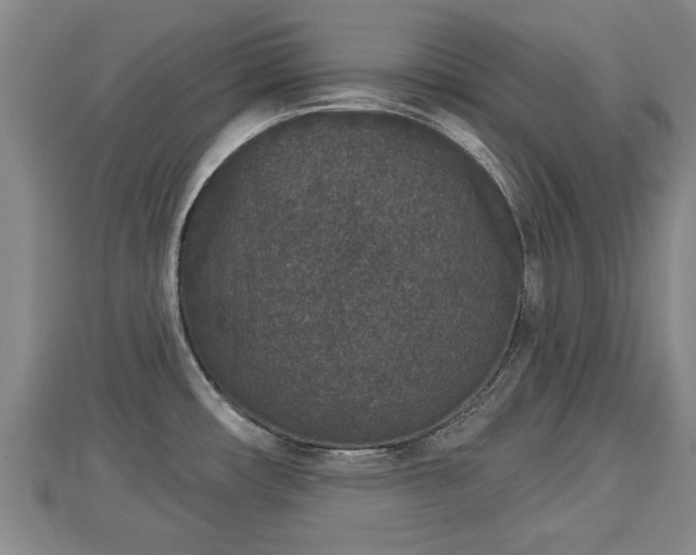 X0000112861482200908281553