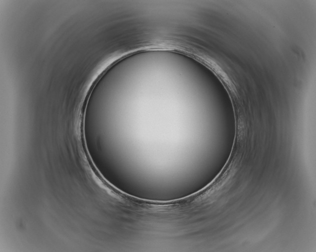 X0000112861484200908281553