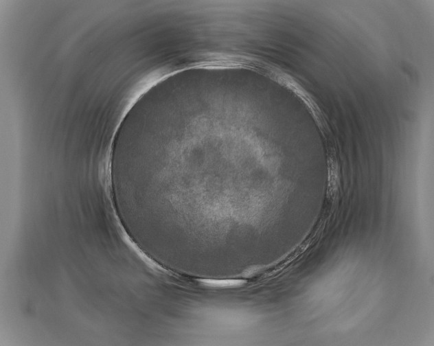 X0000112861487200908281553