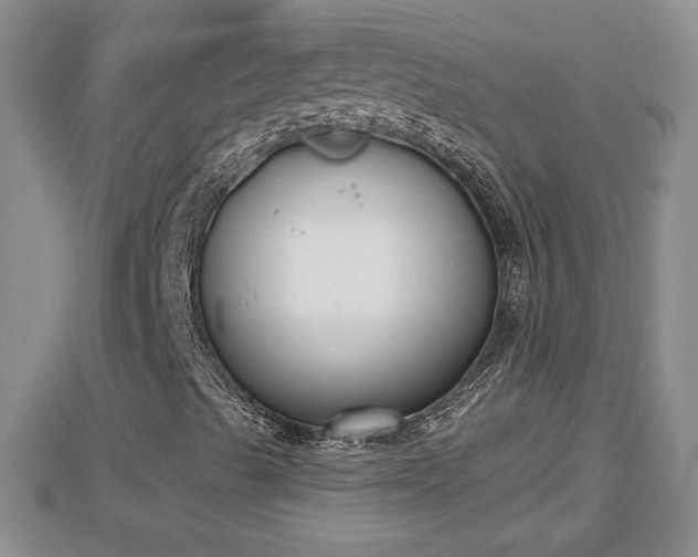X0000112861489200908281552