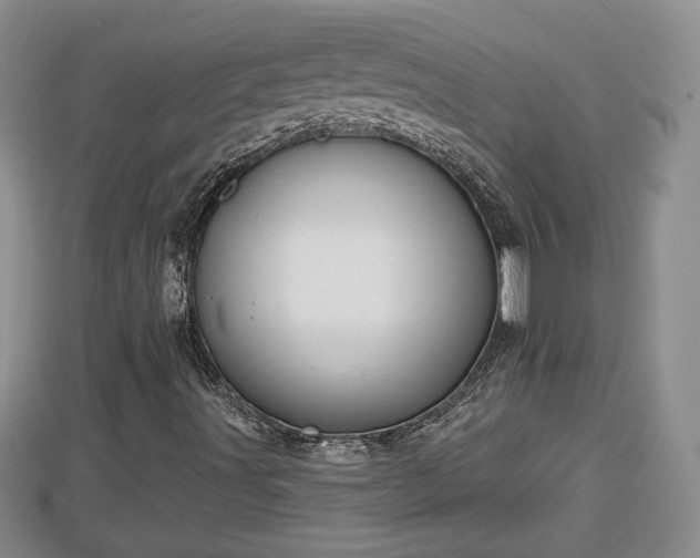 X0000112861491200908281552