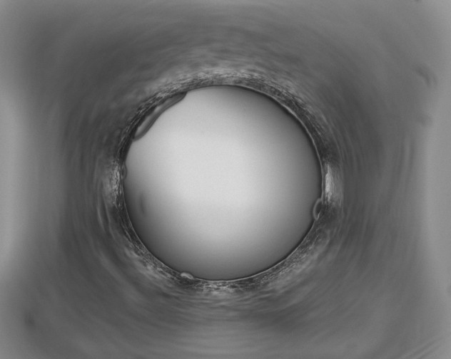 X0000112861492200908281552