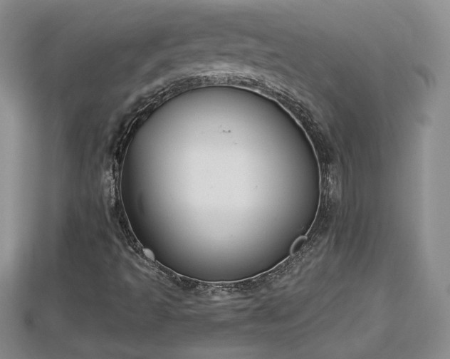 X0000112861493200908281552