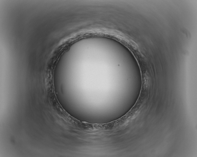 X0000112861494200908281552