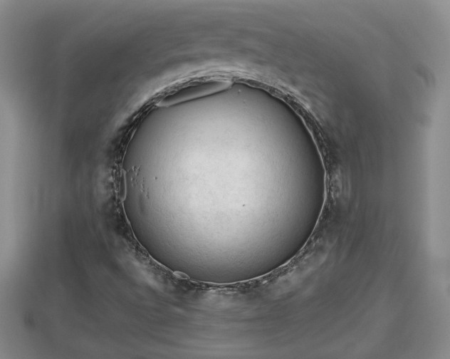 X0000112861496200908281552