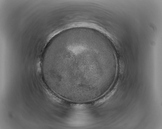 X0000112861497200908281552