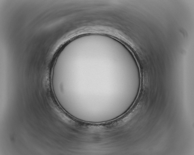 X0000112861498200908281552
