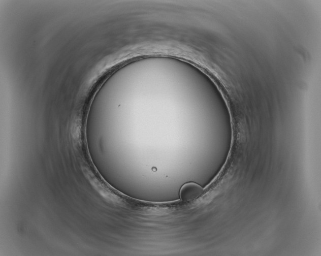 X0000112861499200908281552