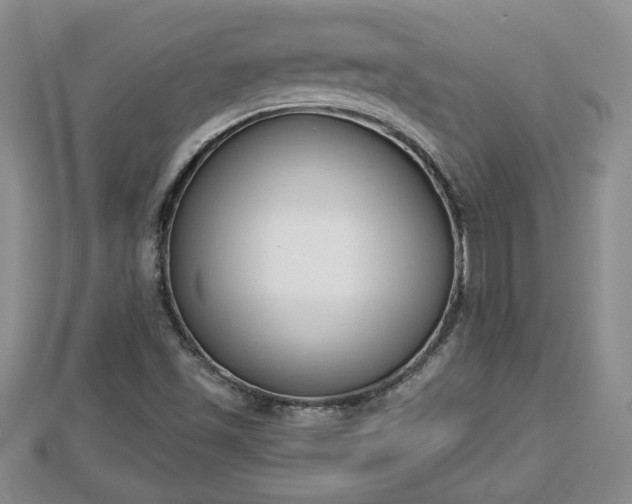 X0000112861501200908281552