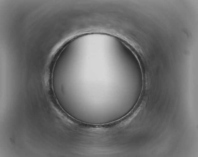 X0000112861502200908281552