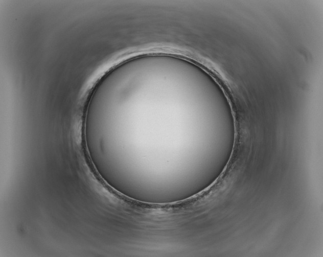 X0000112861504200908281552
