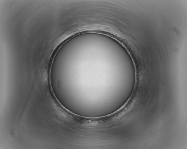 X0000112861505200908281552