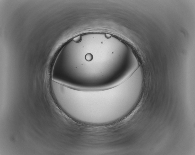 X0000112861506200908281552