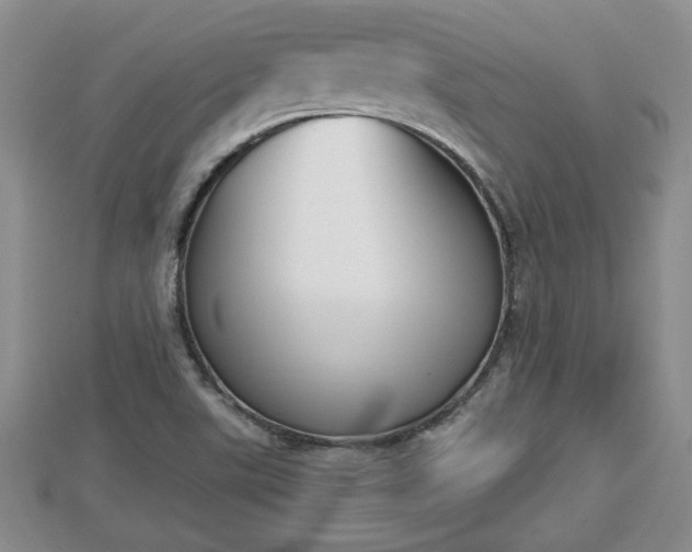 X0000112861507200908281552