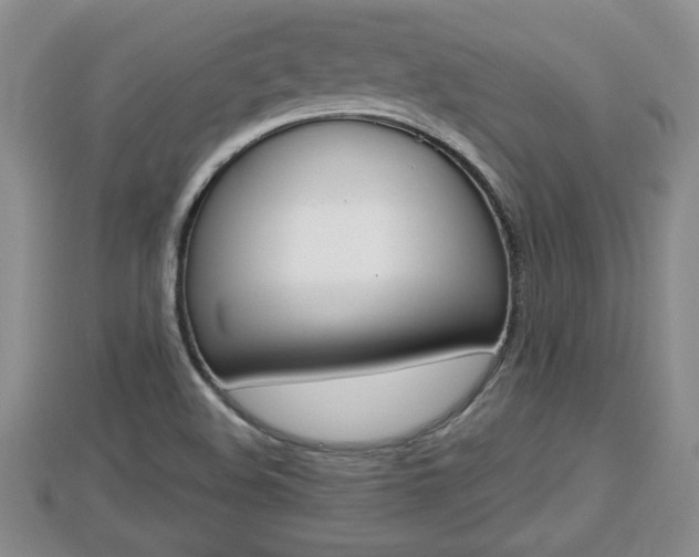 X0000112861508200908281552