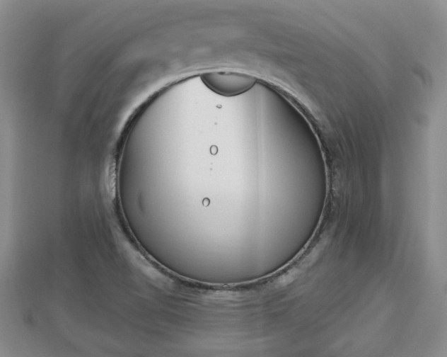 X0000112861510200908281552