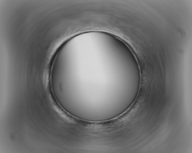 X0000112861511200908281552