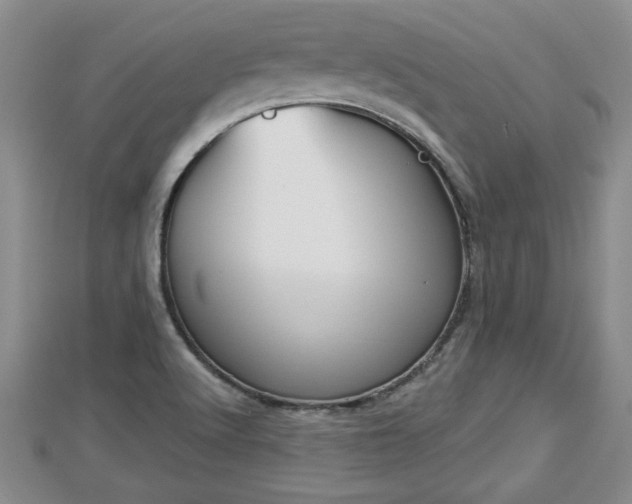 X0000112861512200908281552