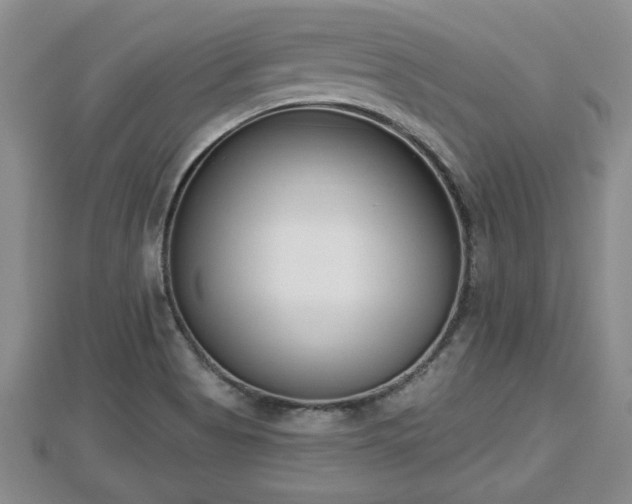 X0000112861513200908281552