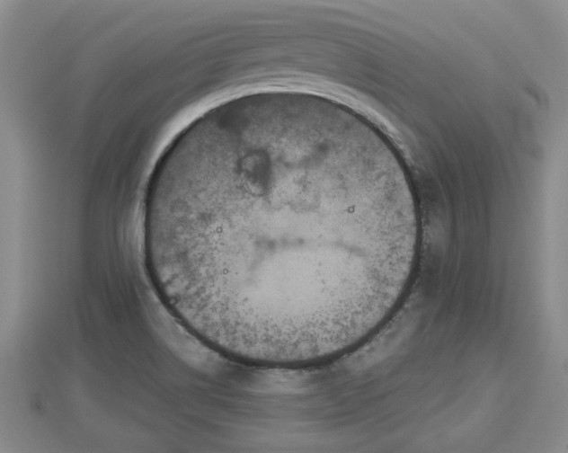 X0000112861514200908281552