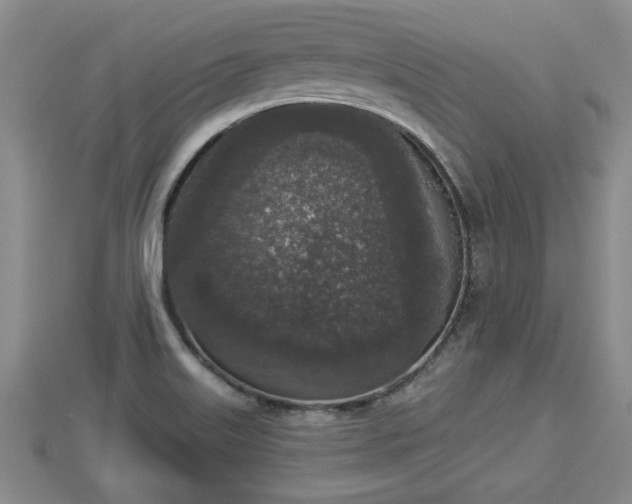 X0000112861515200908281552